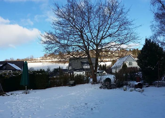 Pension Robin Hood Willingen 